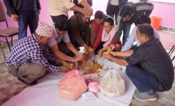 वालिङका किसानलाई ‘युरिया मोलासेस मिनरल ब्लक’ बनाउने तालिम आयोजना